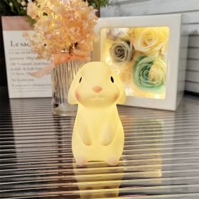 Cartoon Luminous Night Market Stall Led Small Night Lamp Christmas Gift (Option: Cinnamon Rabbit)