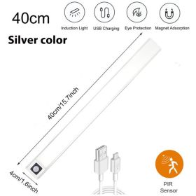 Plastic Night Light Cabinet Lower Motion Sensor Night (Option: Silver40CM-ColdWhite6000K)