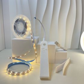 Led Human Body Induction Light With Bed Bottom Atmosphere (Option: Waterproof Light Strip 2 M-Warm White Charging)