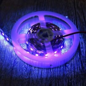 LED Purple Light UV Soft Patch Light With Low Voltage (Option: 120 LightsM Epoxy-DC12V)